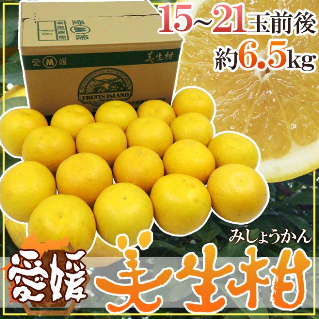 愛媛県 ”美生柑（みしょうかん）” 秀/優品 15〜21玉前後 約6.5kg【予約 4月以降】 送料無料