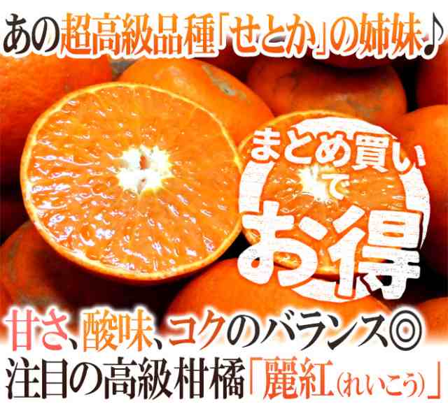 送料無料 佐賀産 はまさきになれなかった 麗紅 訳あり 約1kg 大きさおまかせ 2kg購入で1kgおまけ 予約 2月以降 の通販はau Pay マーケット くらし快援隊