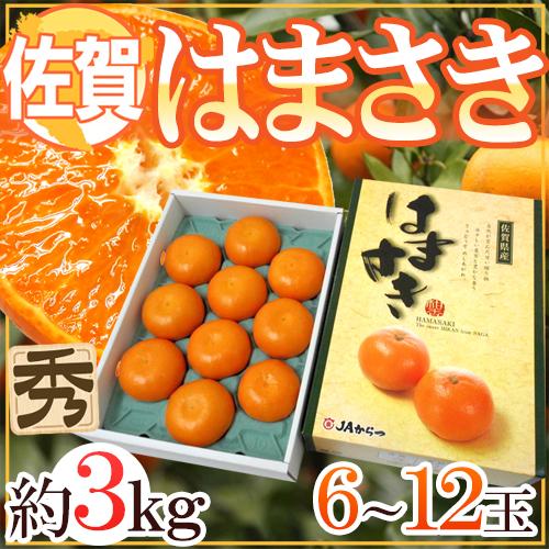 佐賀産 ”はまさき” 6〜12玉 約3kg 化粧箱入り 麗紅【予約 2月以降】 送料無料