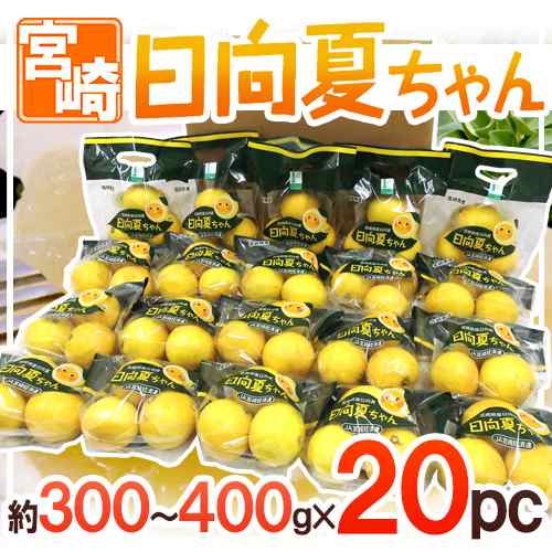 宮崎産 ”日向夏ちゃん” 20袋（1袋あたり3〜4玉 約300〜400g）【予約 2月中旬以降】 送料無料の通販は