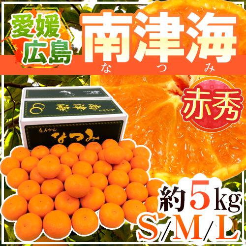 愛媛・広島 ”南津海みかん（なつみみかん）” 赤秀品 S/M/Lサイズ 約5kg【予約 4月下旬以降】 送料無料