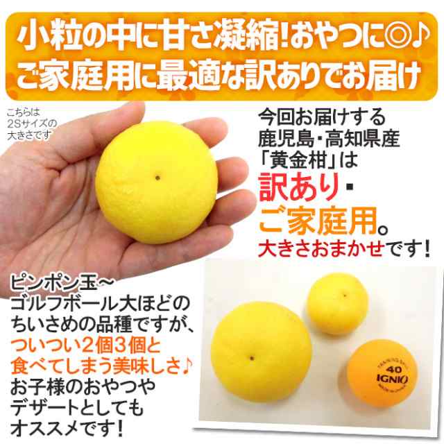 送料無料 鹿児島 高知産 黄金柑 訳あり 約2kg 大きさおまかせ 予約 3月下旬以降 の通販はau Pay マーケット くらし快援隊