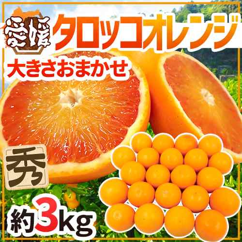 愛媛県 ”タロッコオレンジ” 秀品 約3kg 大きさおまかせ ブラッド