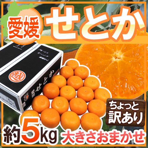 愛媛産 ”せとか” ちょっと訳あり 約5kg 大きさおまかせ 産地箱【予約 1月末以降】 送料無料
