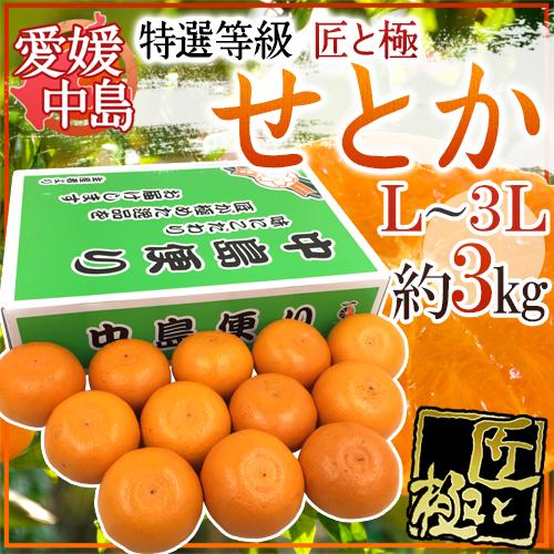 愛媛・中島産 ”中島便り せとか 匠と極” 大玉L/2L/3L 10〜15玉 約3kg 化粧箱【予約 1月末以降】 送料無料