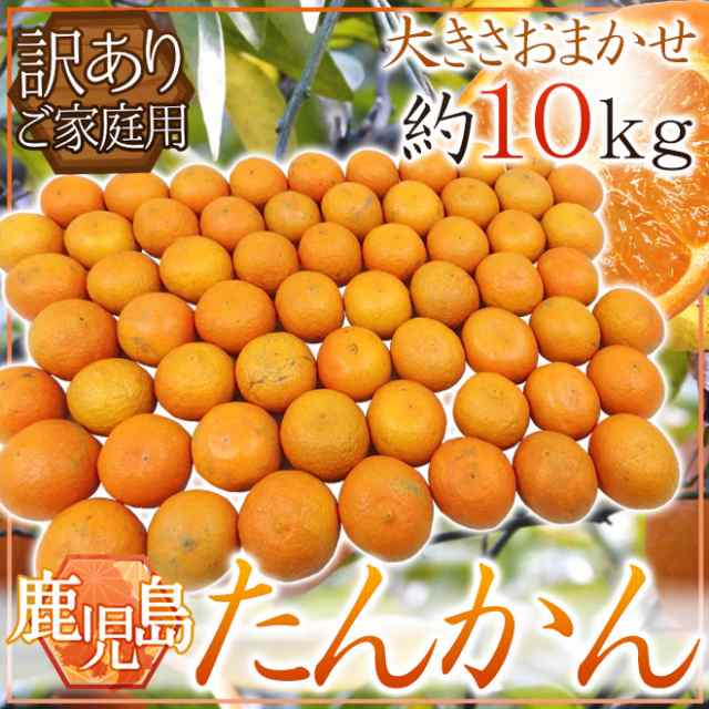 鹿児島産 ”たんかん” 訳あり M Lサイズ 約10kg 送料無料 - みかん、柑橘類