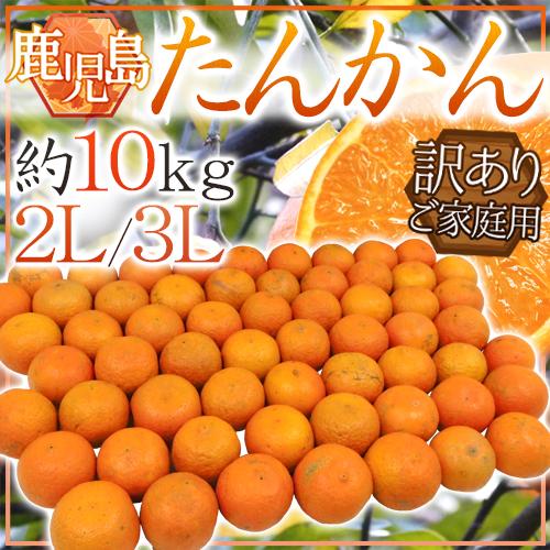 鹿児島産 ”たんかん” 訳あり 大玉2L/3Lサイズ 約10kg【予約 2月下旬以降】 送料無料