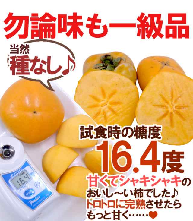 和歌山産 ”たねなし柿” 秀品 2L〜3Lサイズ 14〜16玉 約3.5kg 大玉限定 ...