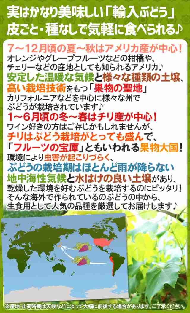 種なしぶどう ”グリーンシードレス” 1袋 約800g ちょっと訳あり チリ・アメリカ産他 青ぶどう【予約 入荷次第発送】 送料無料の通販はau  PAY マーケット - くらし快援隊