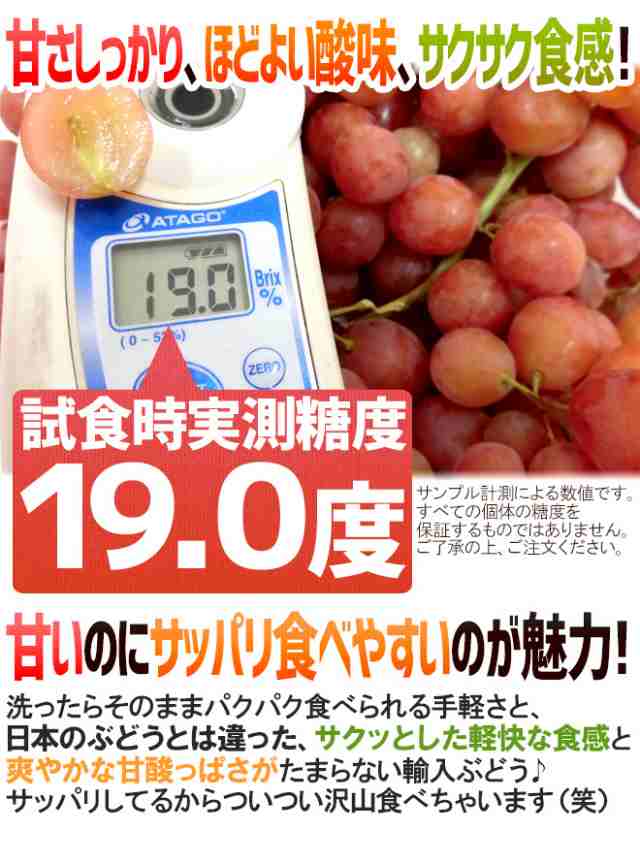 種なしぶどう ”レッドシードレス” 3袋 約2.4kg ちょっと訳あり チリ・アメリカ産他 赤ぶどう【予約 入荷次第発送】 送料無料の通販はau  PAY マーケット - くらし快援隊