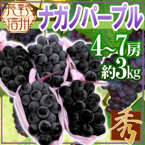 長野産 ”ナガノパープル” 秀品 4〜7房 約3kg ぶどう【予約 9月以降】