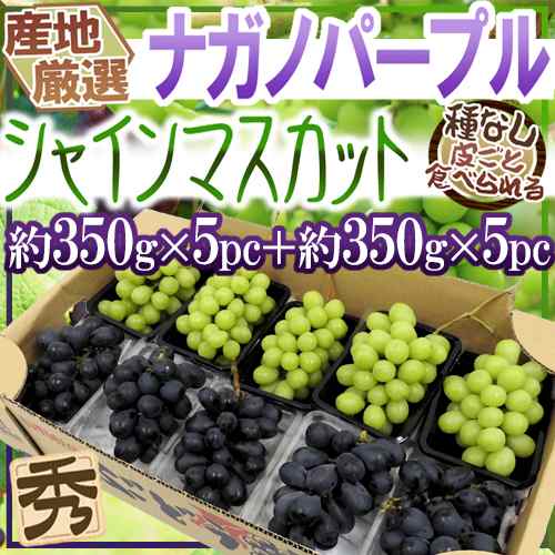 ”シャインマスカット＆ナガノパープル” 約350g×5＋約350g×5 合計10pc約3.5kg 産地厳選 食べ比べ ぶどう【予約 9月以降】 送料無料