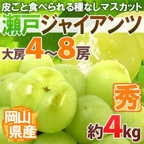 岡山産 ”瀬戸ジャイアンツ” 秀品 大房限定 4〜8房 約4kg ぶどう【予約 9月以降】 送料無料[M2]