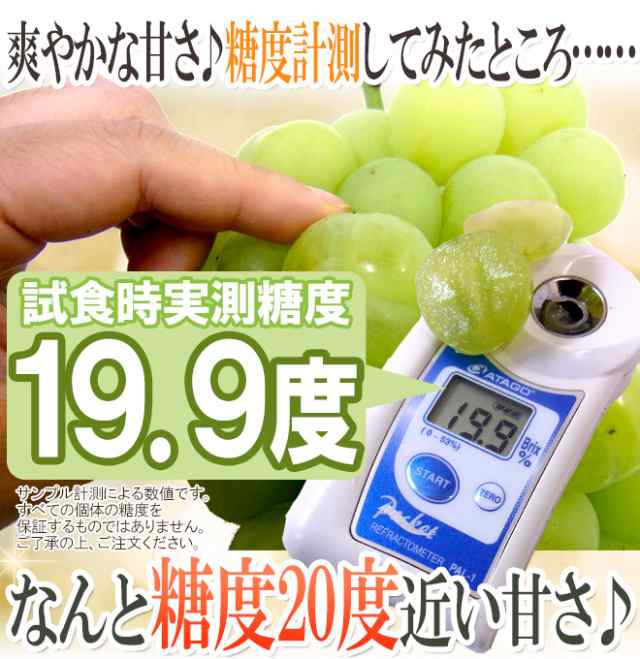 岡山産 ”瀬戸ジャイアンツ” 大房 約600g～750g ぶどう【予約 9月以降】の通販はau PAY マーケット - くらし快援隊