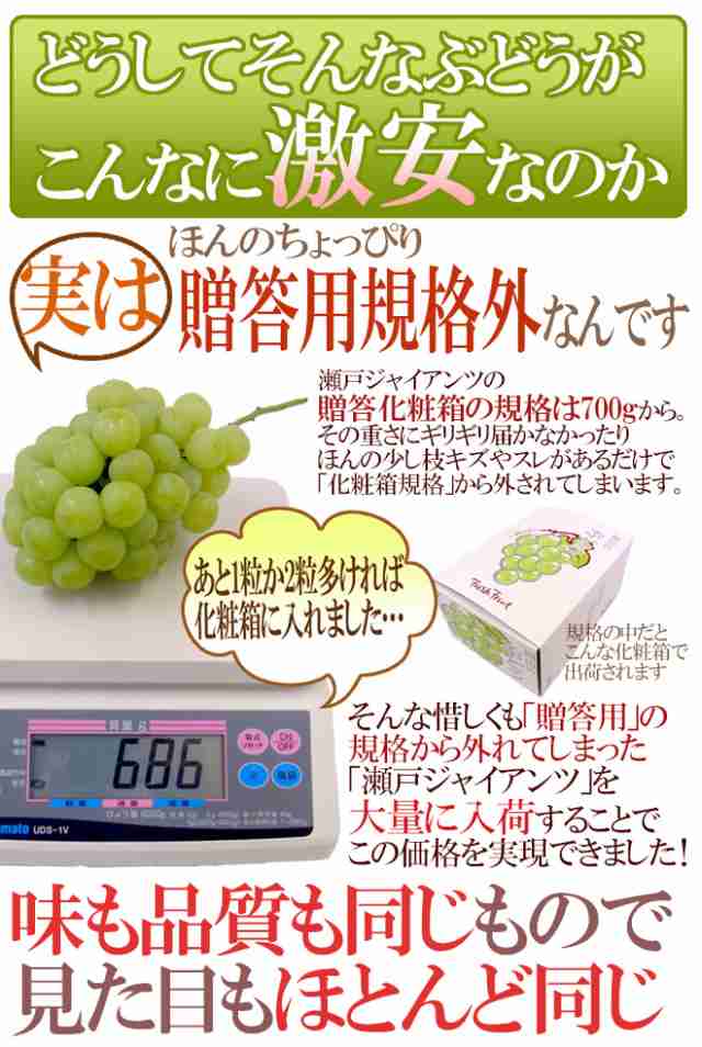 岡山産 ”瀬戸ジャイアンツ” 大房 約600g～750g ぶどう【予約 9月以降】の通販はau PAY マーケット - くらし快援隊