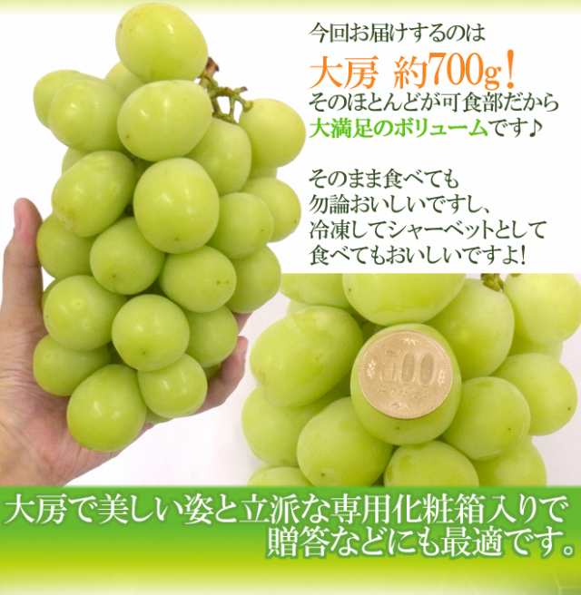 1房　化粧箱　岡山産　PAY　約700g　PAY　”シャインマスカット「晴王」”　au　マーケット　大房　くらし快援隊　送料無料の通販はau　ぶどう【予約　7月下旬以降】　マーケット－通販サイト