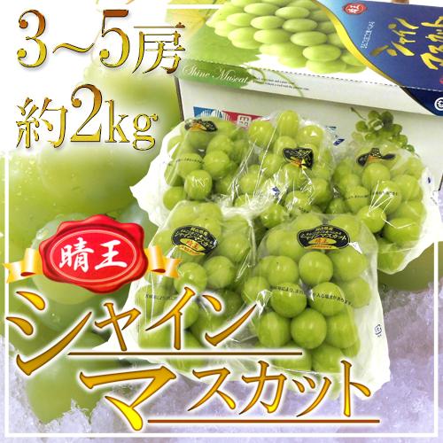 岡山産 ”シャインマスカット「晴王」” 3〜5房 約2kg 産地化粧箱