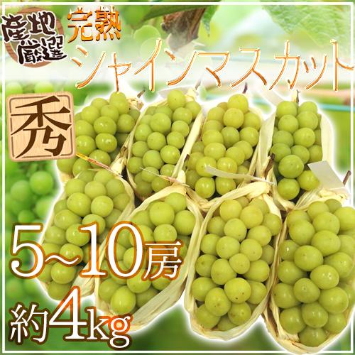 ”完熟シャインマスカット” 秀品 5〜10房 約4kg 産地厳選【予約 8月末以降】 送料無料