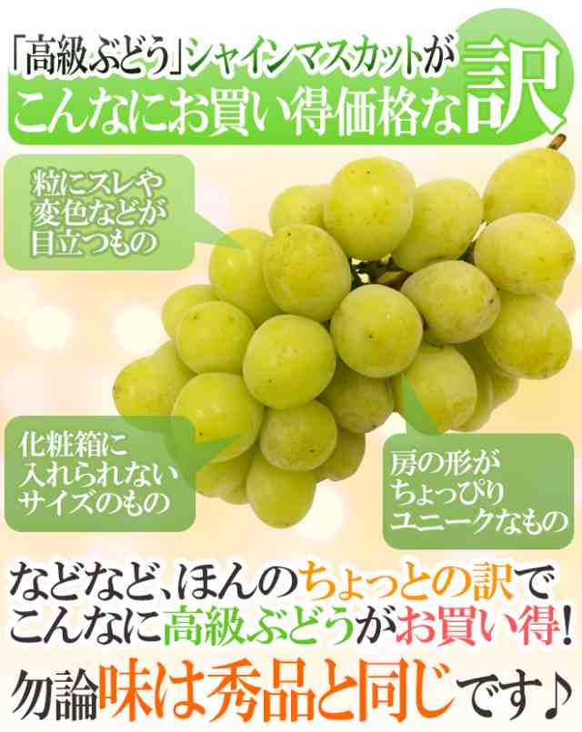 シャインマスカット ” ちょっと訳あり 2房前後 約1kg以上 産地厳選【予約 9月中旬以降】 送料無料の通販はau PAY マーケット -  くらし快援隊