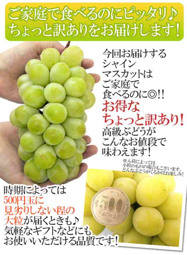 シャインマスカット ” ちょっと訳あり 2房前後 約1kg以上 産地厳選【予約 9月中旬以降】 送料無料の通販はau PAY マーケット -  くらし快援隊