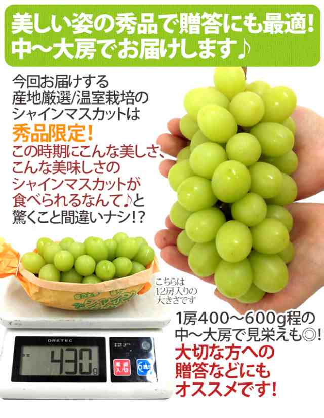 早期発送！プレミアム ”温室シャインマスカット” 秀品 約5kg 大きさ