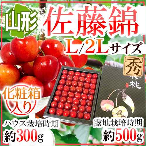 山形産 さくらんぼ 佐藤錦 L 2lサイズ 手詰め 化粧箱入り ハウス栽培時期 約300g 露地栽培時期 約500g 予約 4月末以降 送料無料の通販はau Pay マーケット くらし快援隊