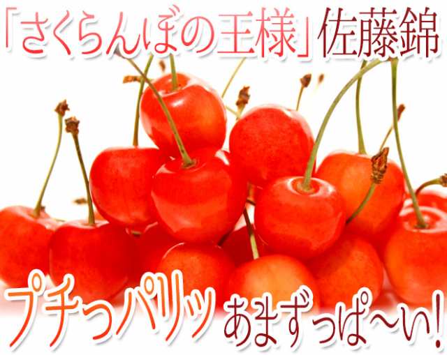 山形産 さくらんぼ 佐藤錦 L 2lサイズ 手詰め 化粧箱入り ハウス栽培時期 約300g 露地栽培時期 約500g 予約 4月末以降 送料無料の通販はau Pay マーケット くらし快援隊