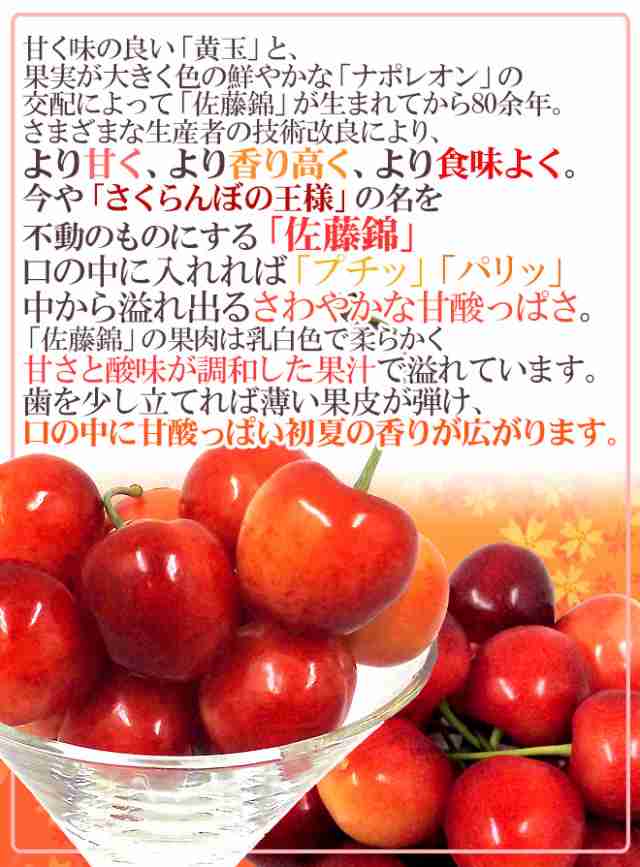 山形産 さくらんぼ 佐藤錦 L 2lサイズ 手詰め 化粧箱入り ハウス栽培時期 約300g 露地栽培時期 約500g 予約 4月末以降 送料無料の通販はau Pay マーケット くらし快援隊