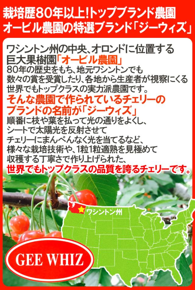”アメリカ産 ジーウィズ レーニアチェリー” 約3kg イエロー等級 さくらんぼ【予約 6月下旬以降】 送料無料_4