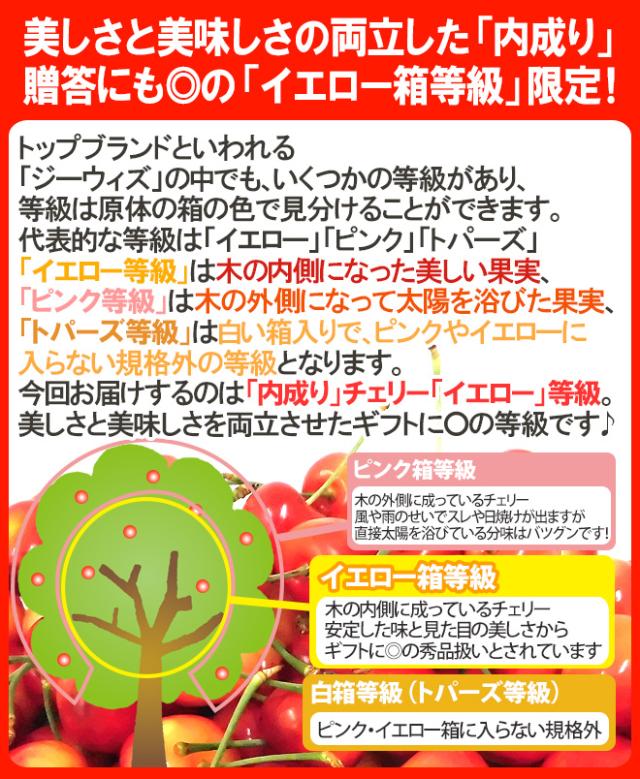 ”アメリカ産 ジーウィズ レーニアチェリー” 約3kg イエロー等級 さくらんぼ【予約 6月下旬以降】 送料無料_5