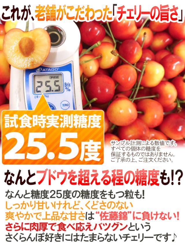 ”アメリカ産 ジーウィズ レーニアチェリー” 約3kg イエロー等級 さくらんぼ【予約 6月下旬以降】 送料無料_6