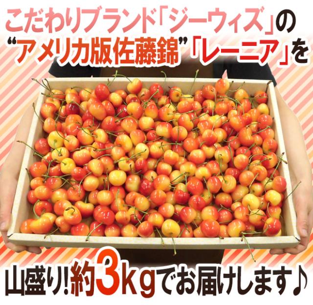 ”アメリカ産 ジーウィズ レーニアチェリー” 約3kg イエロー等級 さくらんぼ【予約 6月下旬以降】 送料無料_8