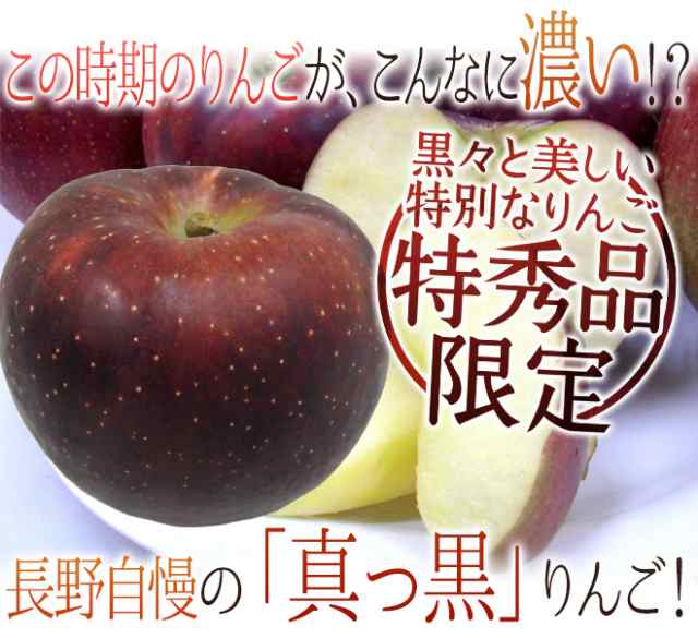 長野産 まっ黒リンゴ ”秋映 あきばえ” 特秀品 24〜36玉前後 約10kg