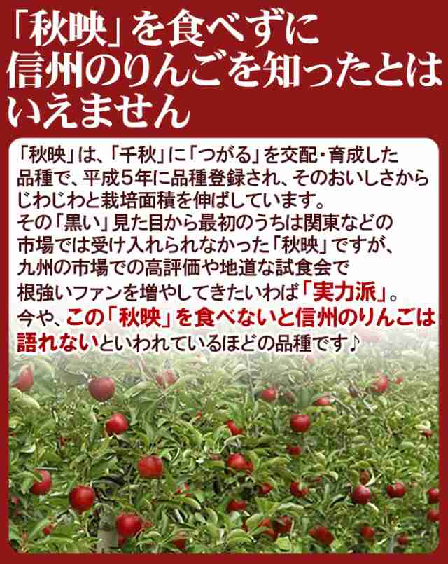 長野産 まっ黒リンゴ ”秋映 あきばえ” 特秀品 24〜36玉前後 約10kg