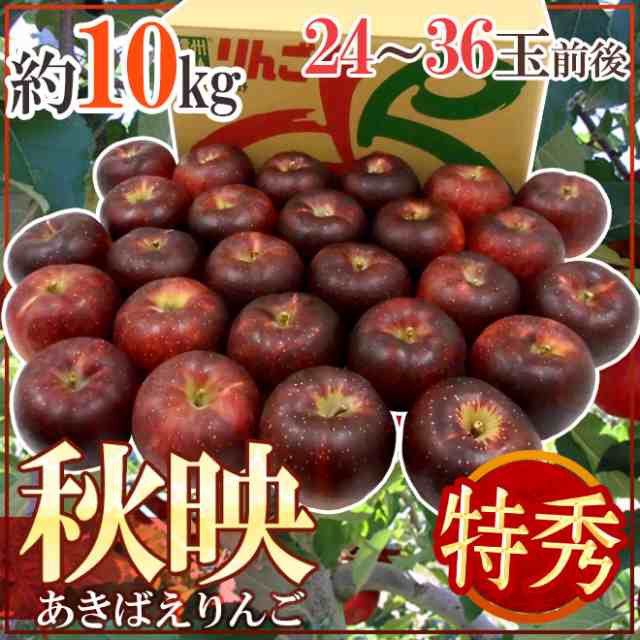 長野産 まっ黒リンゴ ”秋映 あきばえ” 特秀品 24〜36玉前後 約10kg【予約 10月以降】 送料無料｜au PAY マーケット