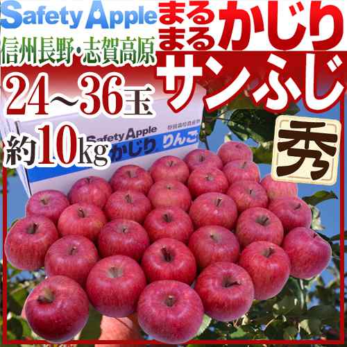 りんご 長野産 ”まるまるかじりサンふじ” 秀品 大玉24〜36玉 約10kg【予約 11月末以降】 送料無料