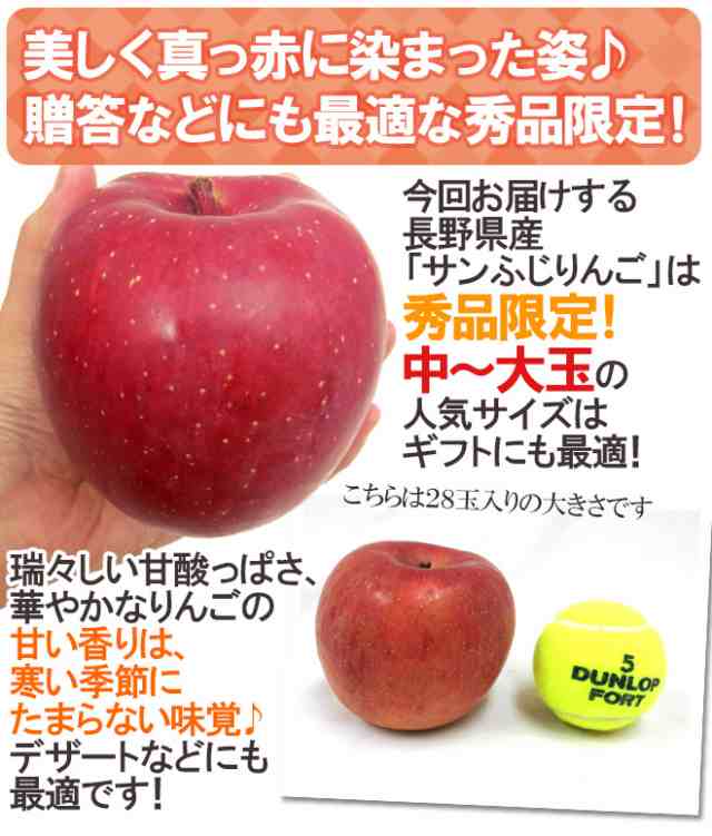 11月下旬以降】　約10kg【予約　くらし快援隊　長野産　PAY　”蜜入りサンふじ”　送料無料の通販はau　PAY　秀品　大玉24〜32玉　au　マーケット　マーケット－通販サイト