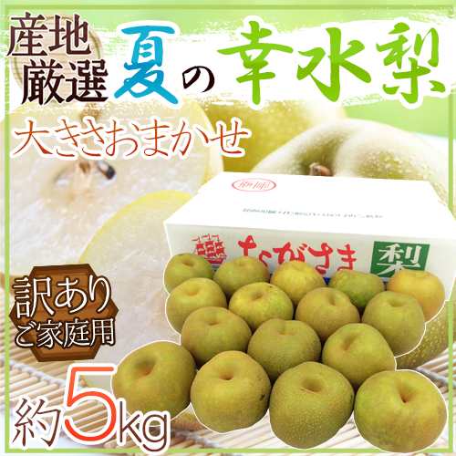 送料無料 夏の幸水梨 訳あり 約5kg 大きさおまかせ 産地厳選 予約 7月以降 の通販はau Pay マーケット くらし快援隊