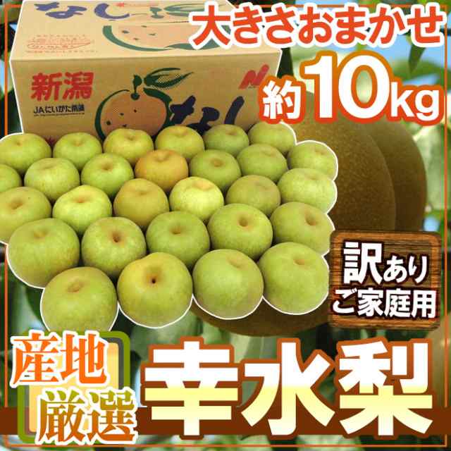 送料無料 幸水梨 訳あり 約10kg 大きさおまかせ 産地厳選 予約 8月下旬以降 の通販はau Pay マーケット くらし快援隊