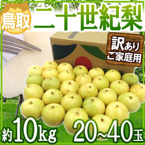 送料無料 鳥取産 二十世紀梨 訳あり 大玉20 40玉 約10kg 予約 8月末以降 の通販はau Pay マーケット くらし快援隊