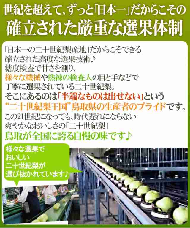 送料無料】鳥取産 ”二十世紀梨” 訳あり 大玉20~40玉 約10kg【予約 8月末以降】の通販はau PAY マーケット - くらし快援隊 送料無料】鳥取産 ”二十世紀梨” 訳あり 大玉20~40玉 約10kg【予約 8月末以降】の通販はau PAY マーケット - くらし快援隊