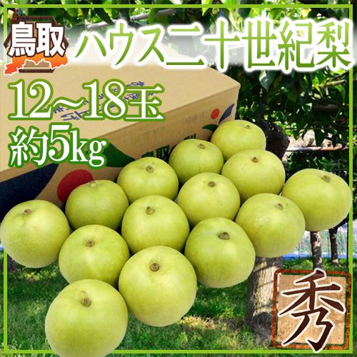 鳥取産 ”ハウス二十世紀梨” 秀品 大玉 12〜18玉 約5kg【予約 8月上旬以降】 送料無料 7,184円