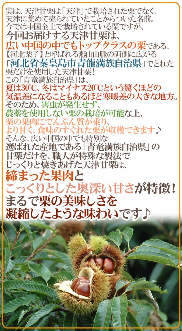 焼きたて・炒りたてを当日発送！ ”天津甘栗” 約10kg バラ《専用袋付き》イベント・お祭り・学園祭・社内行事に♪【予約 10月中旬以降】 送料無料