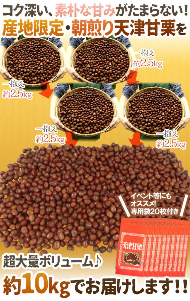 焼きたて・炒りたてを当日発送！ ”天津甘栗” 約10kg バラ《専用袋付き》イベント・お祭り・学園祭・社内行事に♪【予約 10月中旬以降】 送料無料