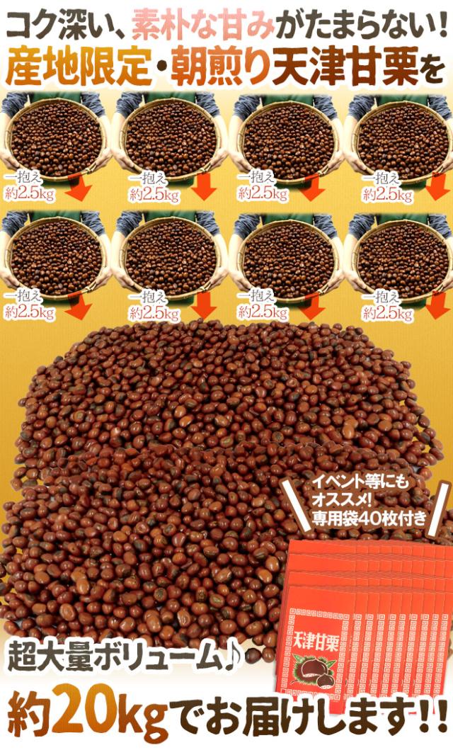 焼きたて・炒りたてを当日発送！ ”天津甘栗” 約20kg バラ《専用袋付き》イベント・お祭り・学園祭・社内行事に♪【予約 10月中旬以降】 送料無料
