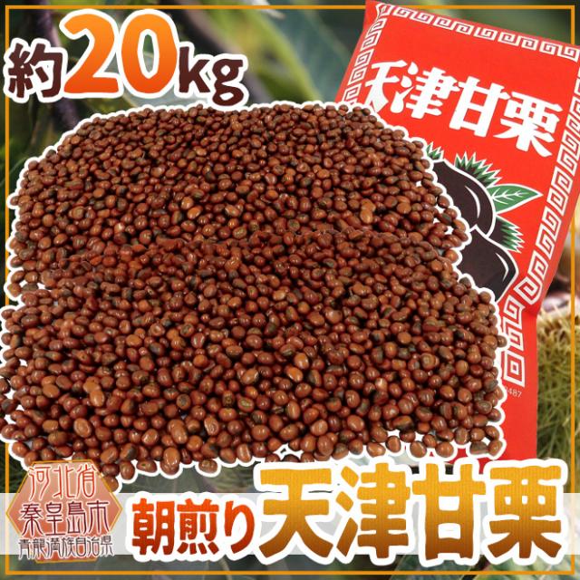 焼きたて・炒りたてを当日発送！ ”天津甘栗” 約20kg バラ《専用袋付き》イベント・お祭り・学園祭・社内行事に♪【予約 10月中旬以降】 送料無料