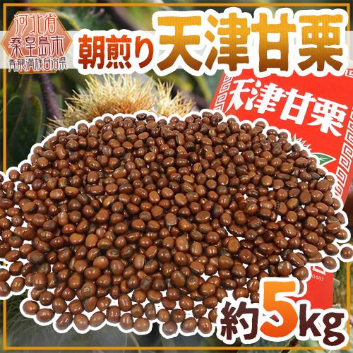 焼きたて・炒りたてを当日発送！ ”天津甘栗” 約5kg バラ《専用袋付き》イベント・お祭り・学園祭・社内行事に♪【予約 10月中旬以降】 送料無料