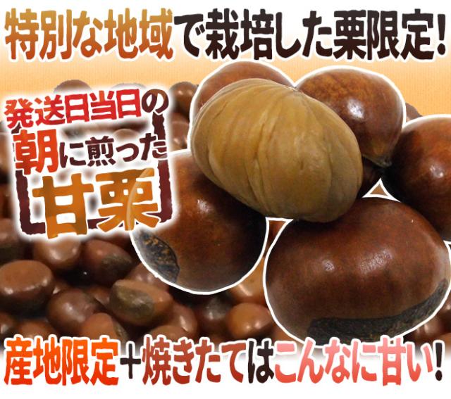 焼きたて・炒りたてを当日発送！ ”天津甘栗” 約5kg バラ《専用袋付き》イベント・お祭り・学園祭・社内行事に♪【予約 10月中旬以降】 送料無料