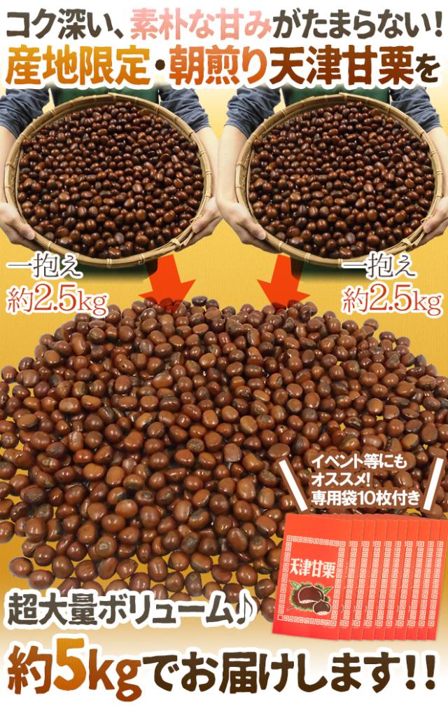 焼きたて・炒りたてを当日発送！ ”天津甘栗” 約5kg バラ《専用袋付き》イベント・お祭り・学園祭・社内行事に♪【予約 10月中旬以降】 送料無料