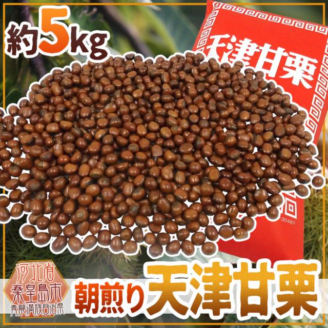 焼きたて・炒りたてを当日発送！ ”天津甘栗” 約5kg バラ《専用袋付き》イベント・お祭り・学園祭・社内行事に♪【予約 10月中旬以降】 送料無料